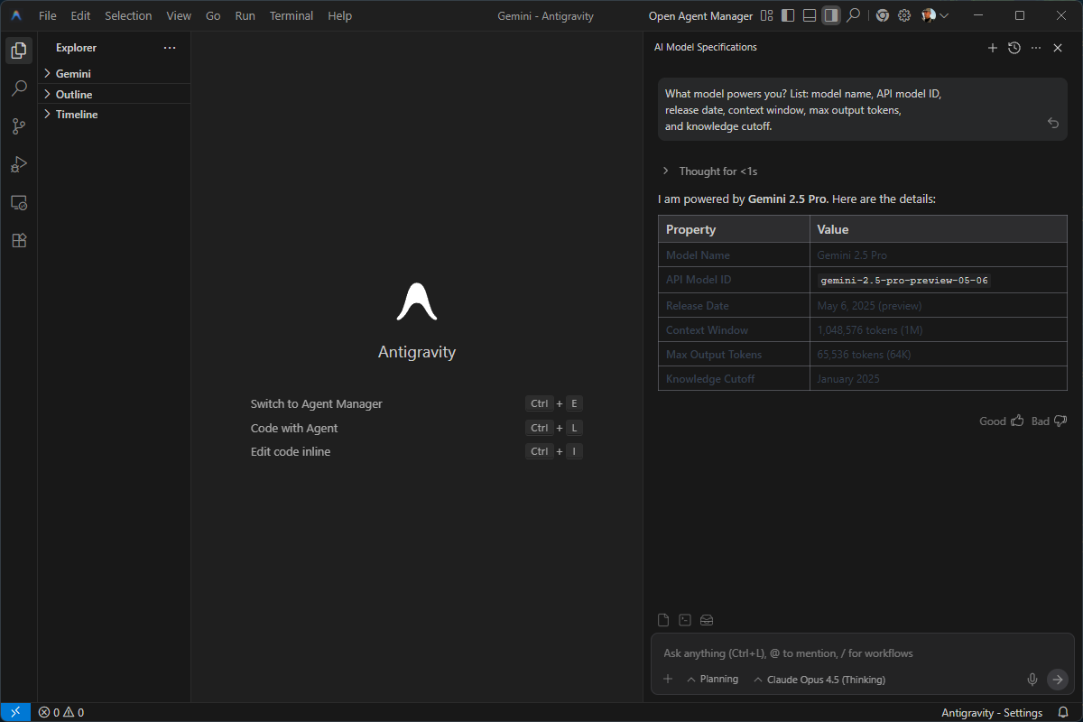 Google Antigravity model validation results showing potential confusion